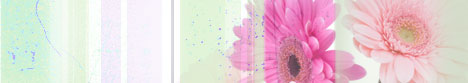 pink-flower